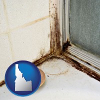 idaho black mold growing in a shower stall