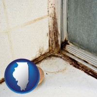 illinois map icon and black mold growing in a shower stall