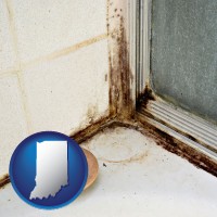 indiana black mold growing in a shower stall