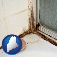 maine black mold growing in a shower stall