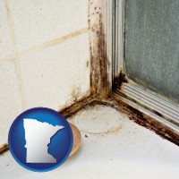 minnesota black mold growing in a shower stall
