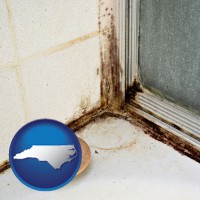 north-carolina map icon and black mold growing in a shower stall
