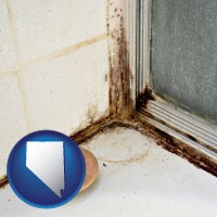 nevada black mold growing in a shower stall