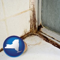 new-york black mold growing in a shower stall