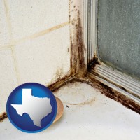texas black mold growing in a shower stall