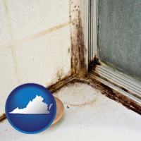 virginia map icon and black mold growing in a shower stall
