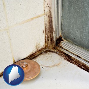 black mold growing in a shower stall - with Maine icon