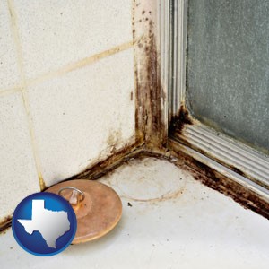 black mold growing in a shower stall - with Texas icon